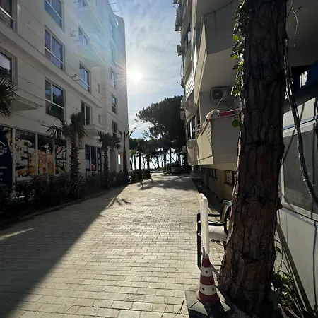 Daire The Is 50 Meters Away